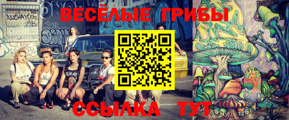 купить  цена  Галлюциногенные грибы Magic Shrooms  Галлюциногенные грибы ЛСД  Вход с VPN  Михайловка 